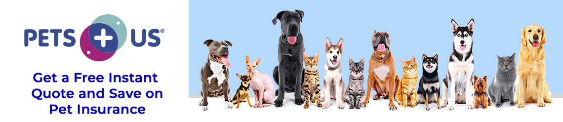 Save on insurance for your furry family members